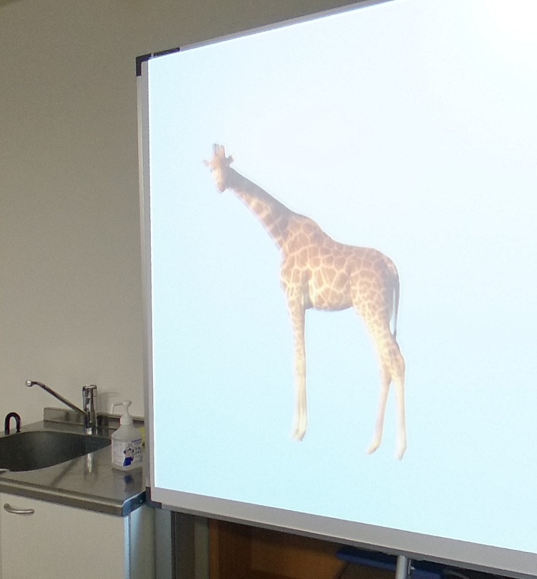 Successful example of giraffe (moving target)