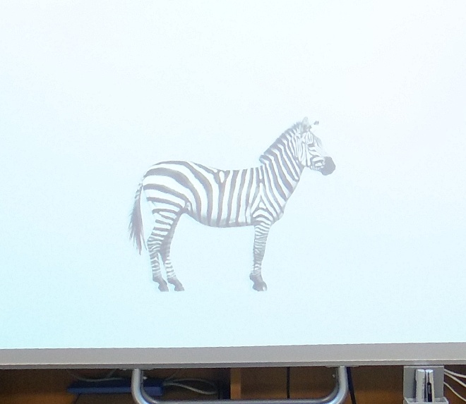Successful example of zebra (moving target)
